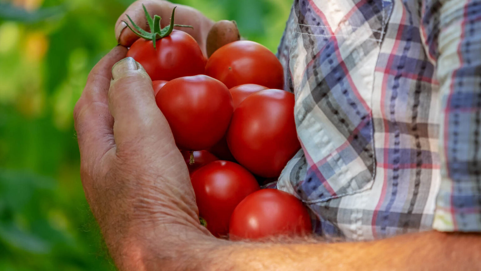 How to Grow Your Own Food - Topic Universe